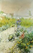 Carl Larsson i kakstradgarden Spain oil painting artist